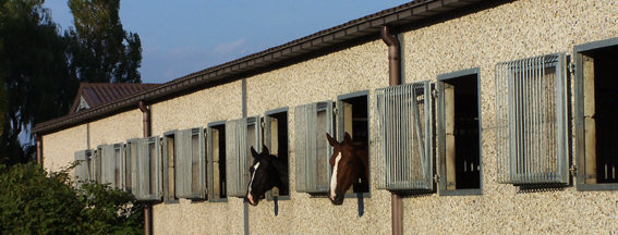 Heller, gut belüfteter Stall